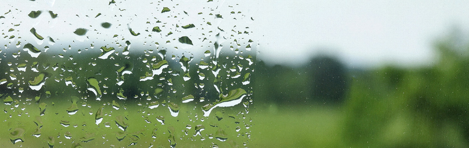 Berkeley Roof Services Images