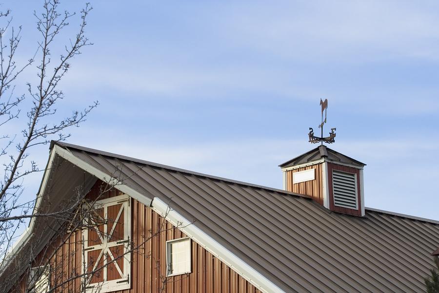 Berkeley Roof Services Images
